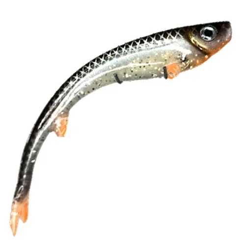 Tuotekuva 1